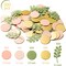 300Pcs Sage Olive Green Peach Blush Round Scatter Confetti Dots Greenery Eucalyptus Paper Confetti Table Decoration Bridal Wedding Confetti Baby Shower Birthday Summer Holiday Party Supplies